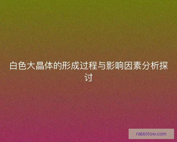 白色大晶体的形成过程与影响因素分析探讨